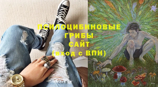 Альфа ПВП Арсеньев