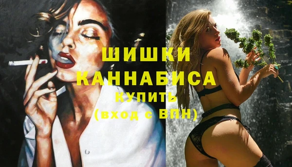 Альфа ПВП Арсеньев