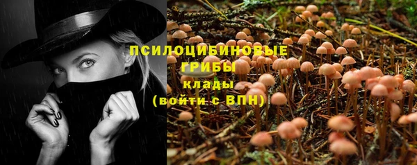 Альфа ПВП Арсеньев