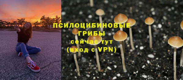 скорость Аркадак